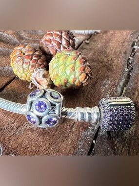 Pandora Sterling Silver Purple Charm Duo